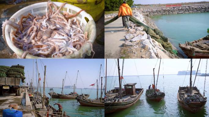 渔民的日常回港八爪鱼养殖海蛎子渔网装船