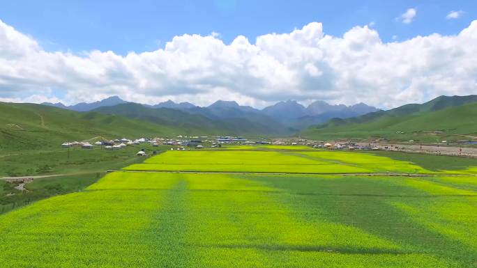 4k航拍天祝抓喜秀龙草原