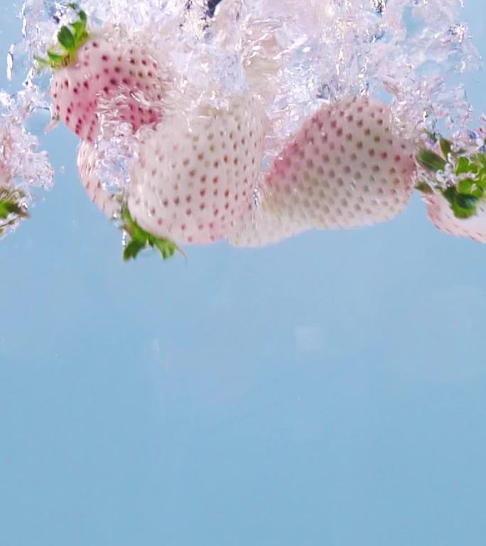 白草莓淡雪原始高清广告宣传抖音竖屏文件