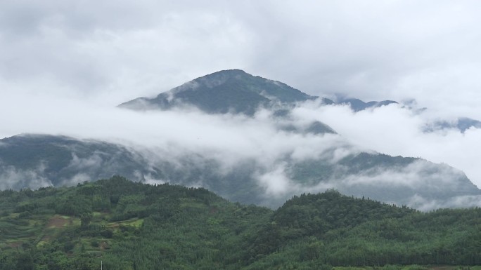 生态自然大山雨雾唯美雾景延时