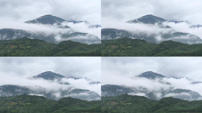 生态自然大山雨雾唯美雾景延时