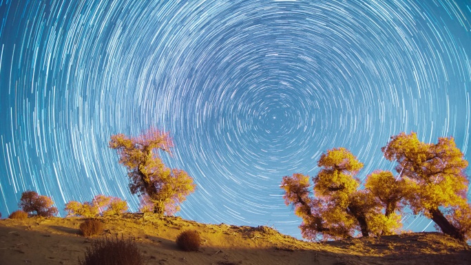 夜晚沙漠胡杨星空延时星轨素材-6