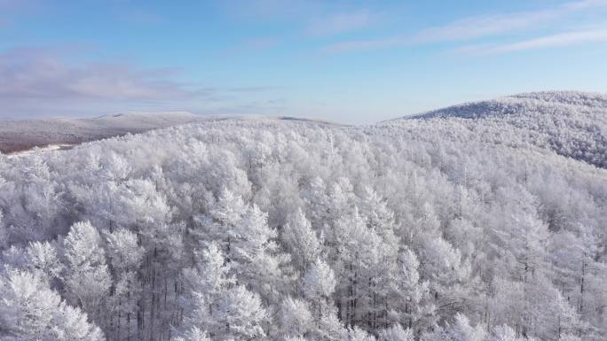 下雪的森林航拍【4K】
