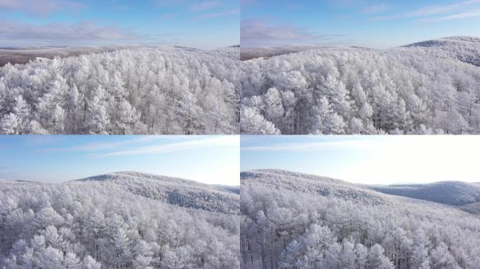 下雪的森林航拍【4K】