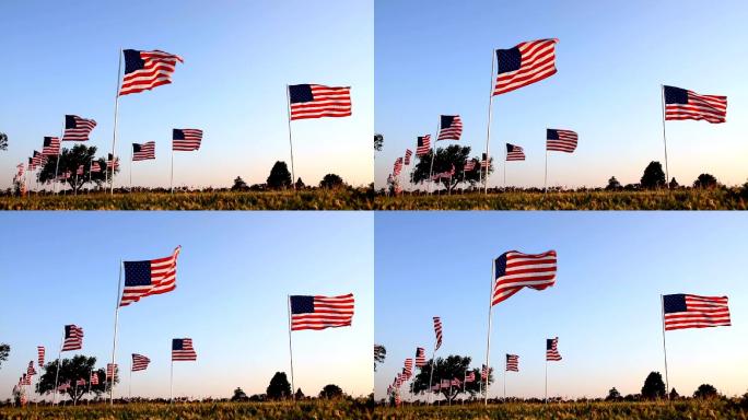 墓地路两旁都是美国国旗