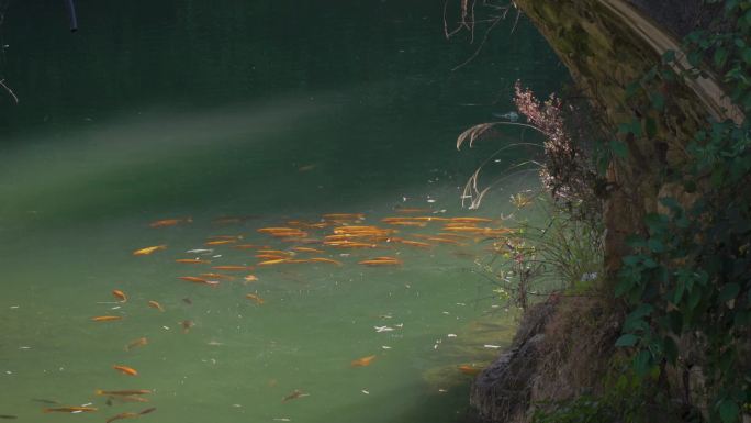 浙江丽水龙泉大窑村