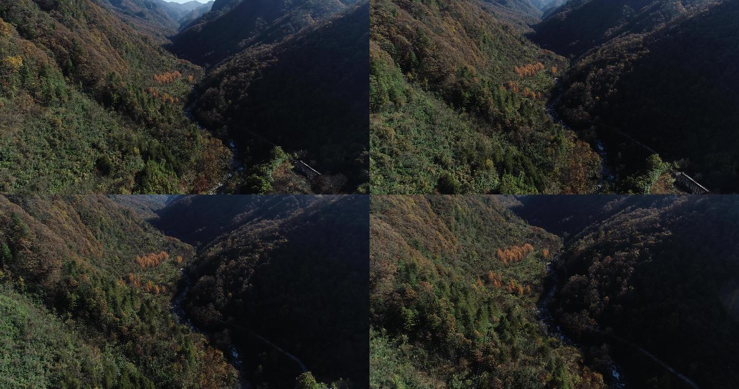 宝鸡太白山国家森林公园航拍4K黄柏塬生态