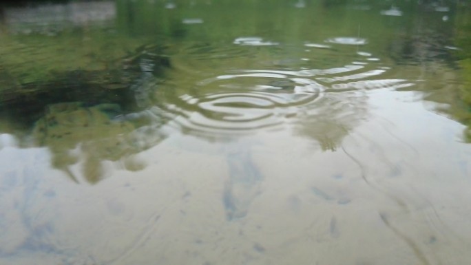 水面雨点雨滴雨水水珠