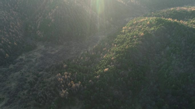 宝鸡太白山国家森林公园航拍4K黄柏塬生态