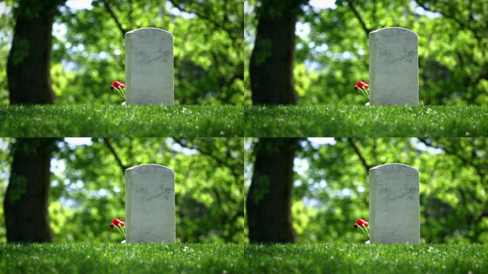 春天的阿灵顿国家公墓一座带花的坟墓