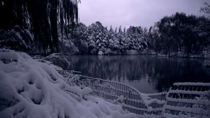 济南雪后大明湖内风景