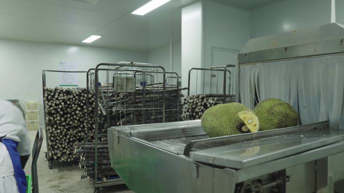 菠萝蜜加工厂4K