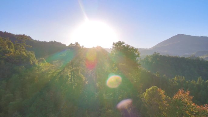 4K航拍井冈山森林日出阳光大自然清晨