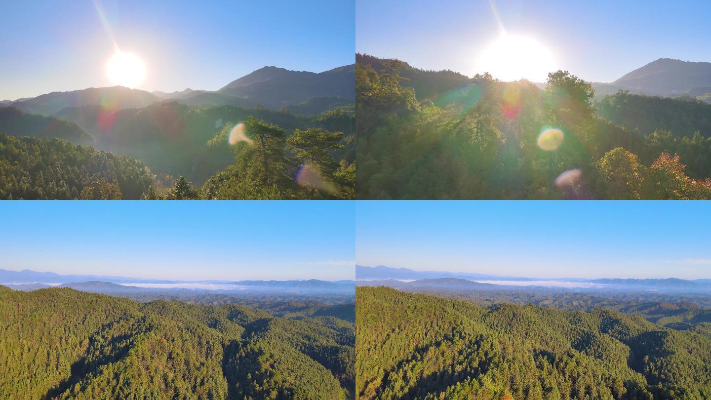 4K航拍井冈山森林日出阳光大自然清晨