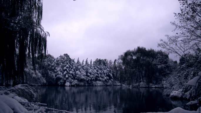 济南雪后大明湖内风景