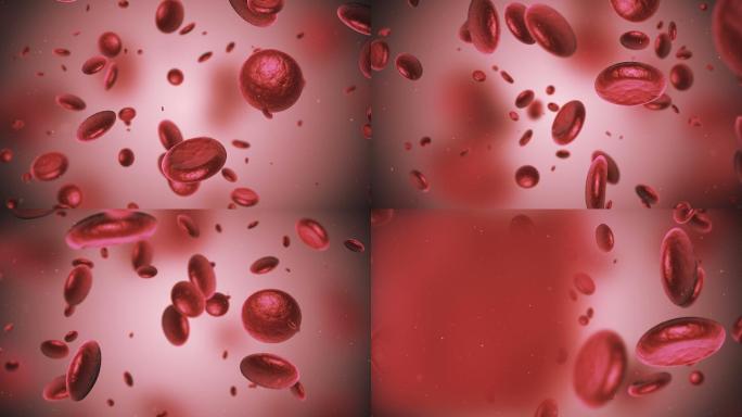 血细胞生物三维动画3d