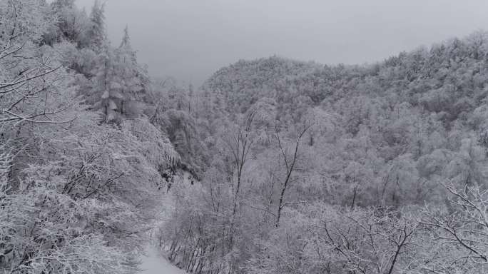 高山雪景