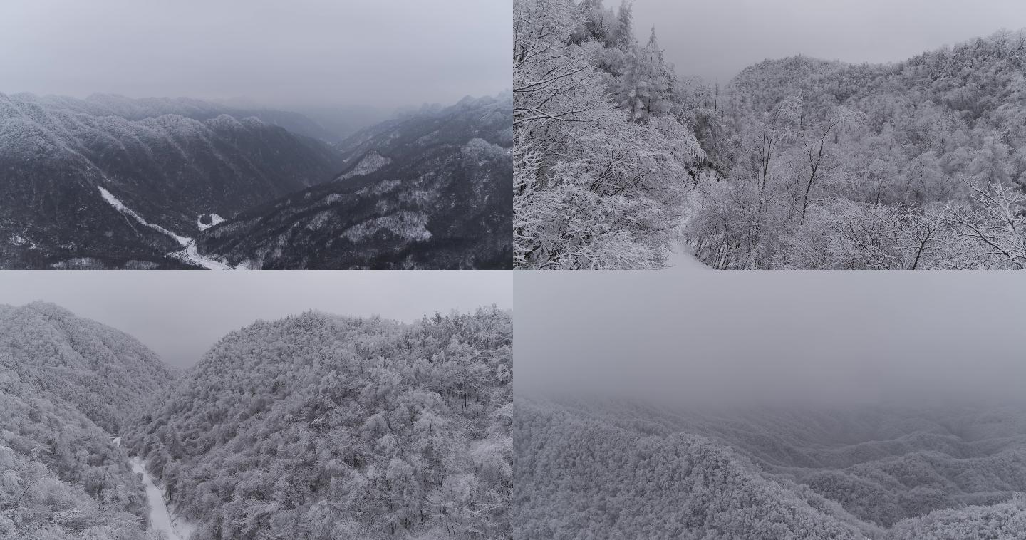 高山雪景