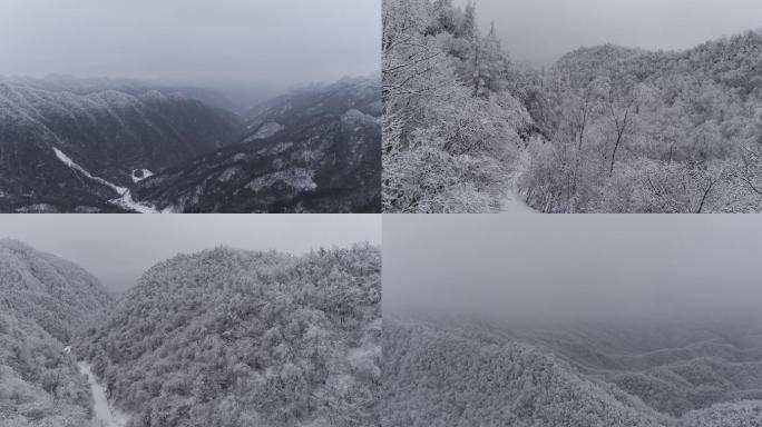 高山雪景