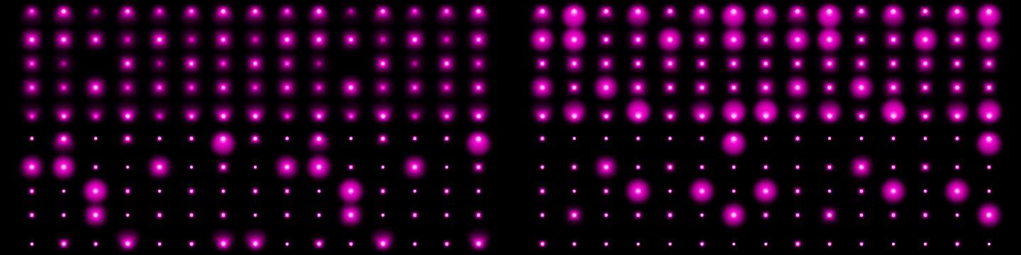 超宽屏幕粉紫色闪烁灯光视频 循环