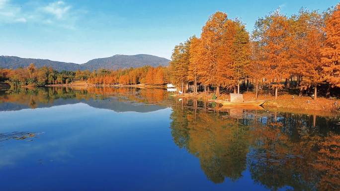 南京中山陵风景区的秋景（燕雀湖）