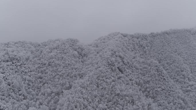 高山雪景1