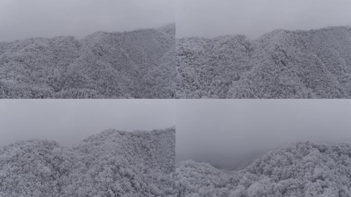 高山雪景1