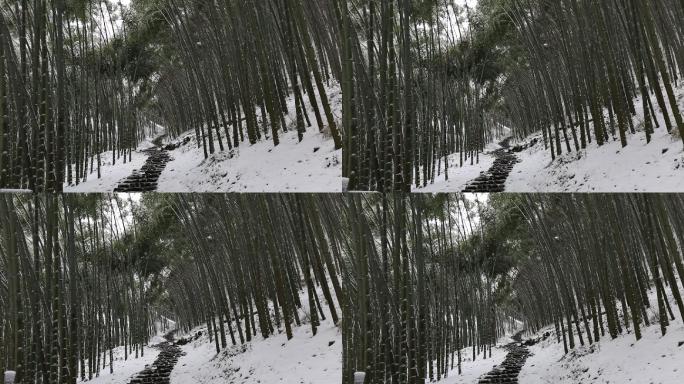 冬天雪后竹林山路原素材
