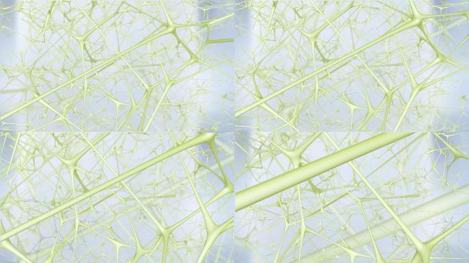 植物 纤维纤维 显微微距