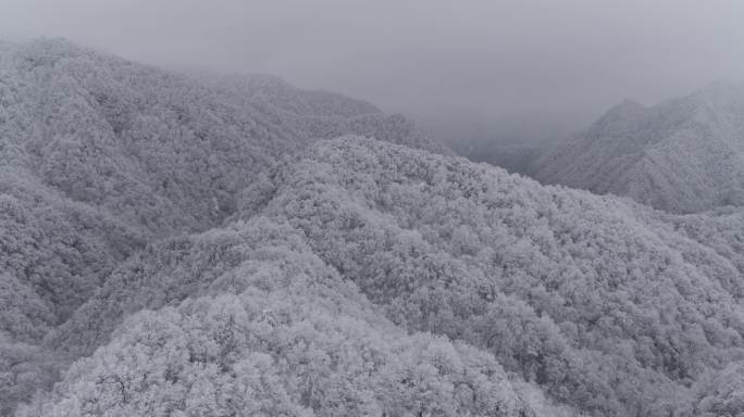 巴山雪景