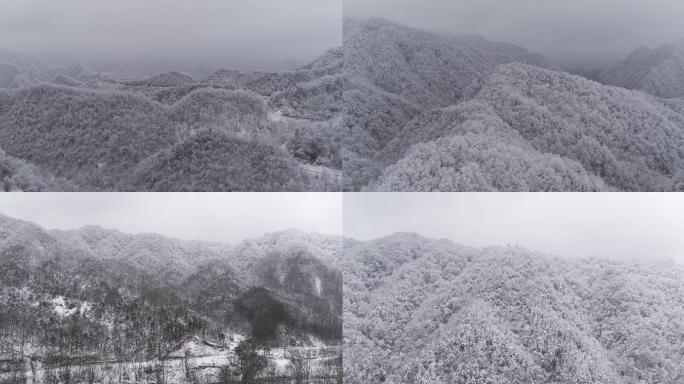 巴山雪景