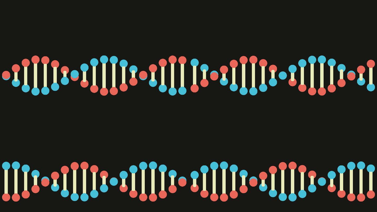 DNA结构可循环动画