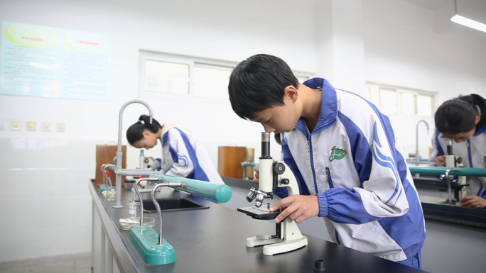 学生做实验、化学课、生物课