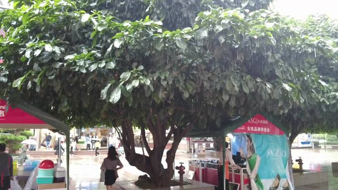 下雨场景