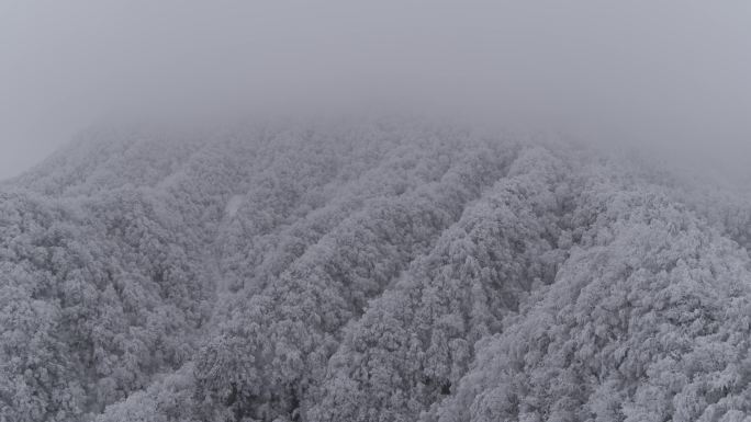 高山雪景3