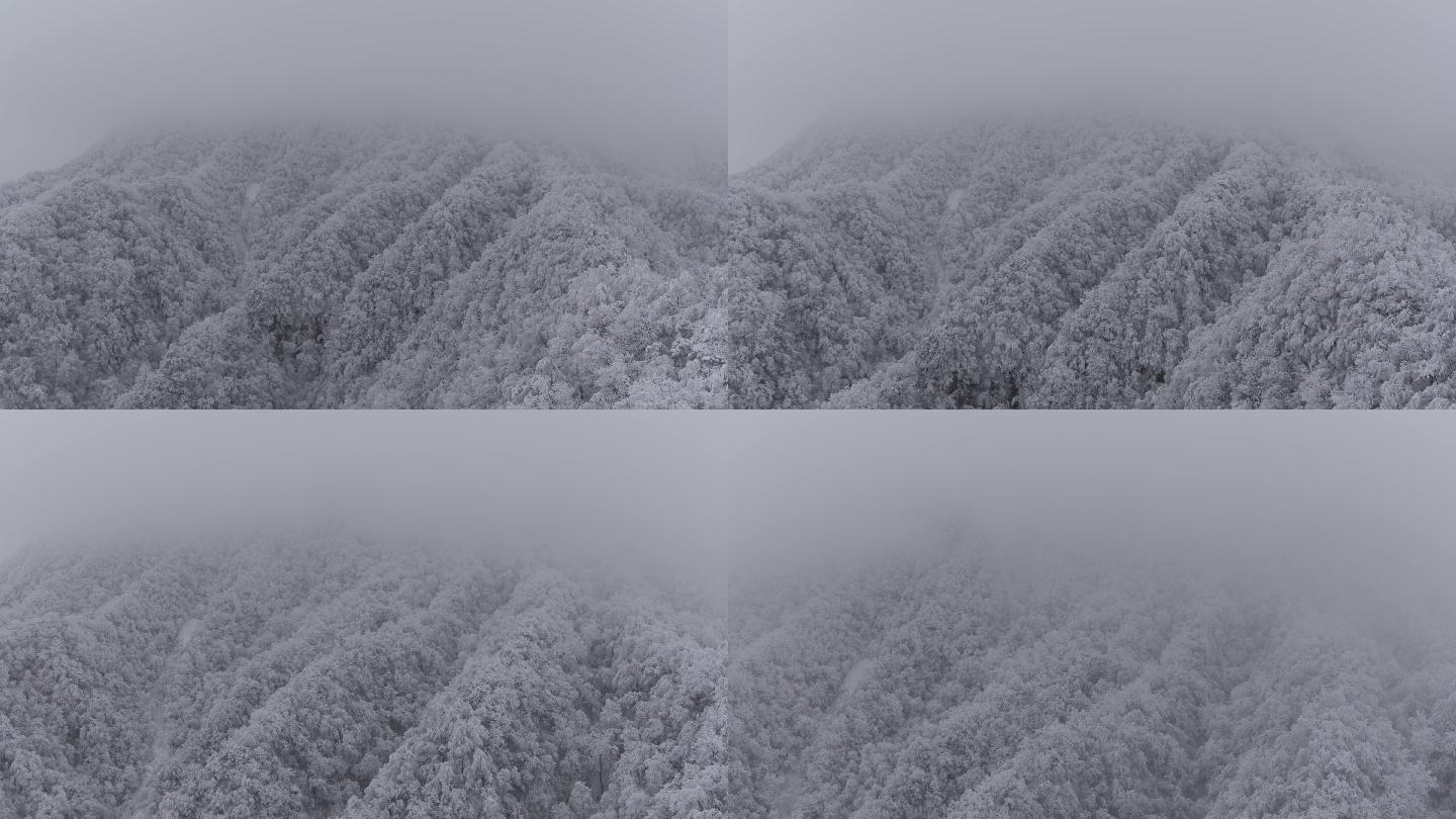 高山雪景3