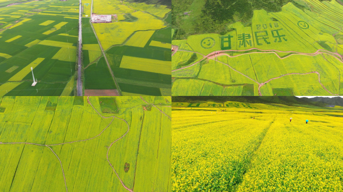 航拍张掖扁都口油菜花海