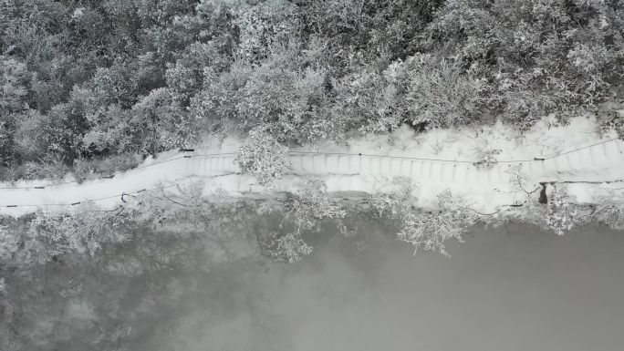 山中台阶雪景