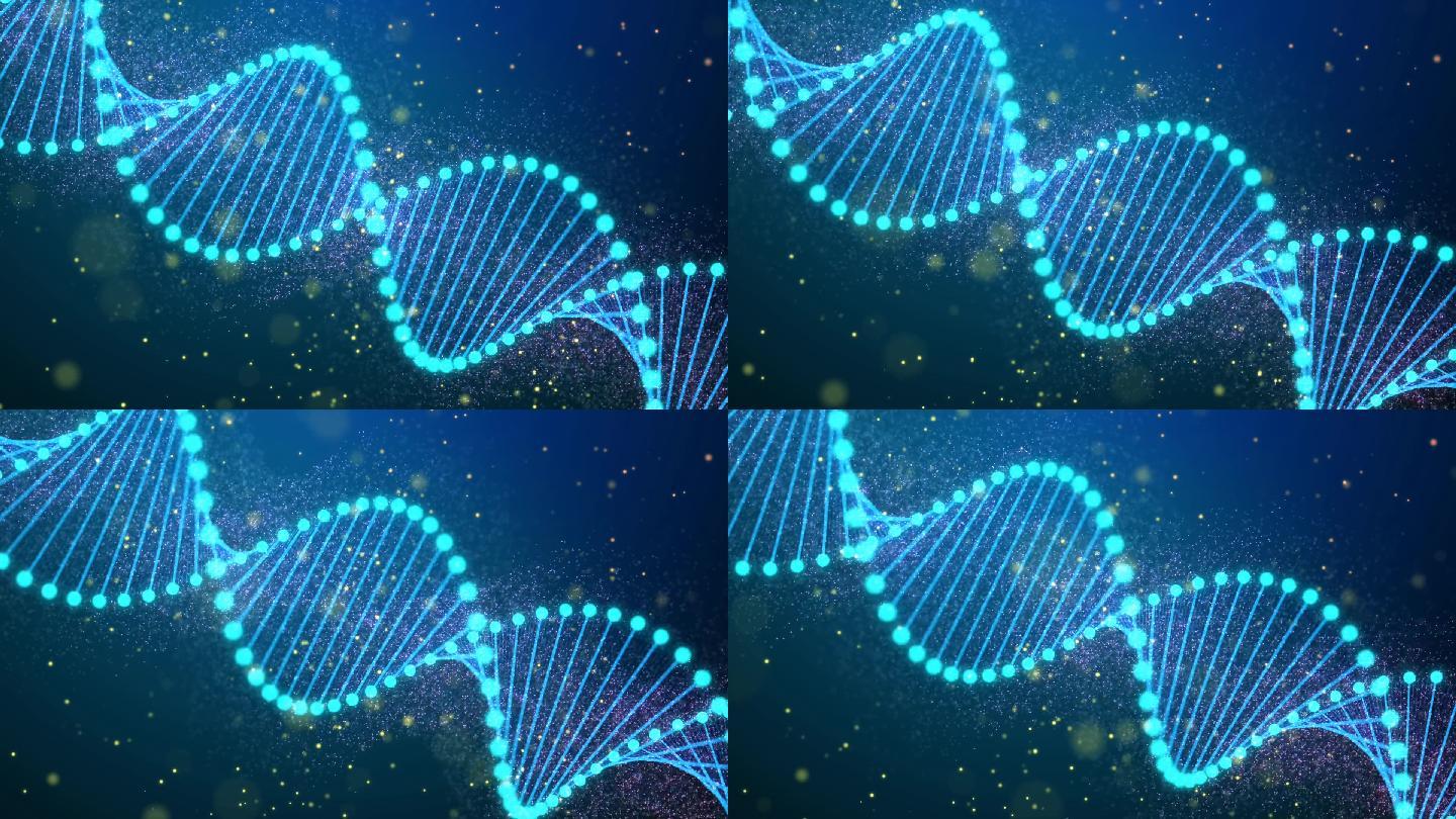 DNA