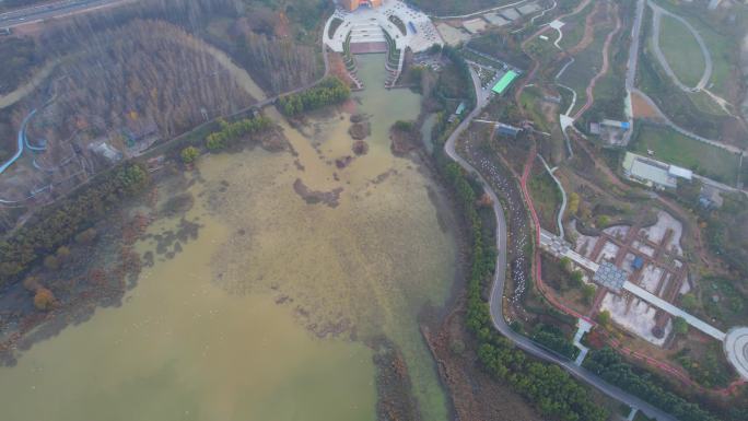 天鹅湖湿地公园