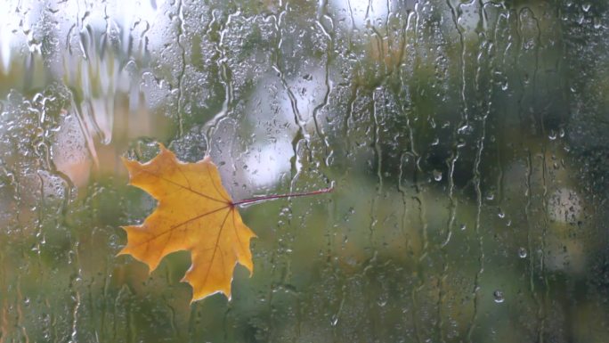 窗外的秋雨