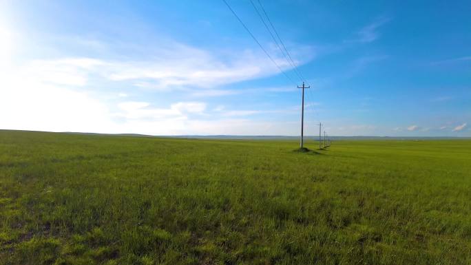 4k实拍碧绿的草原上散落的蒙古包群
