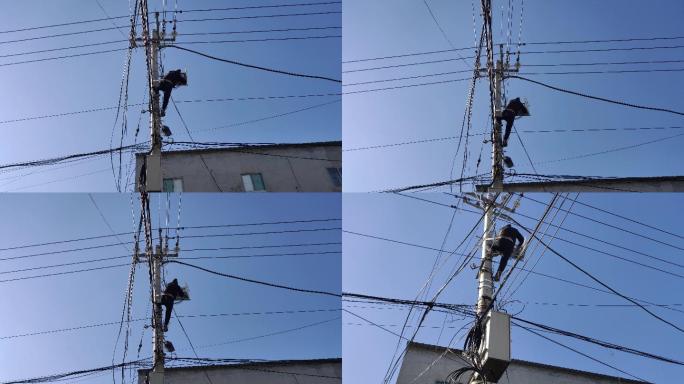 电杆上维修 电缆 农村线路 接线 爬电杆