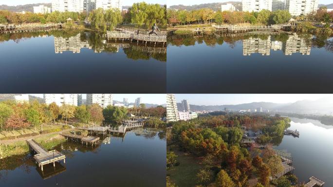 大麦屿街道庆澜公园晨练秋景画面航拍