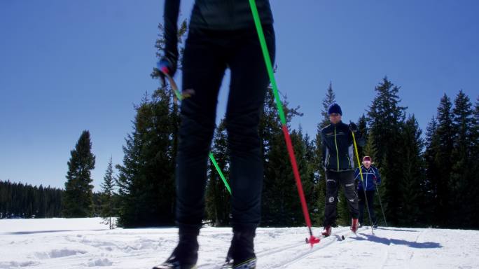 四个成年人越野滑雪