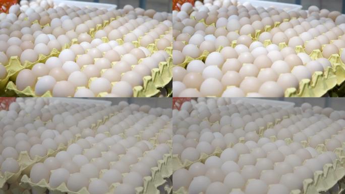 超市鸡蛋（场景二）
