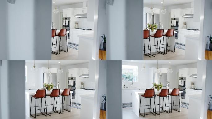 新家庭住宅中带岛式柜台的漂亮厨房的内部视图