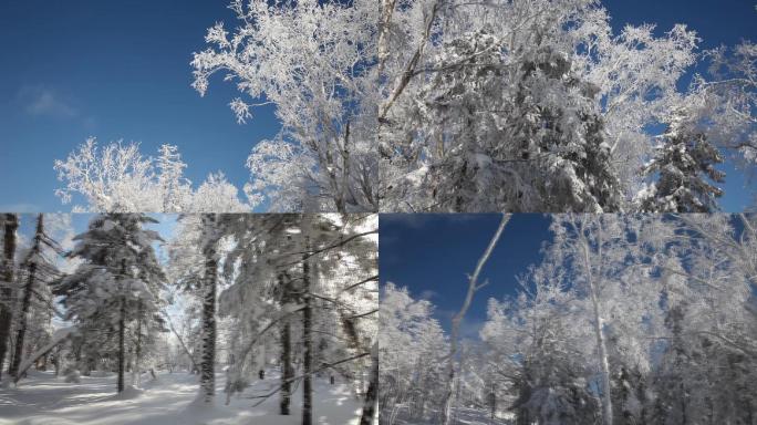 雪景树挂宣传片素材  雾凇  北方冬季