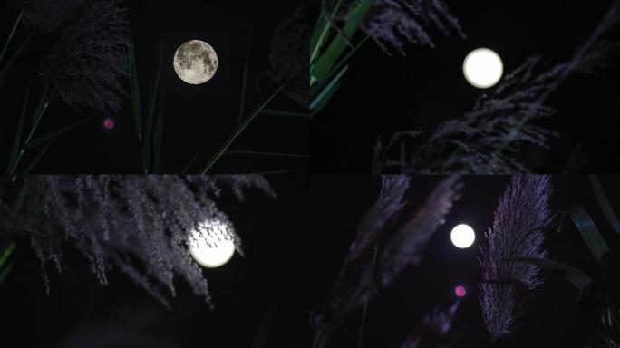 月亮03