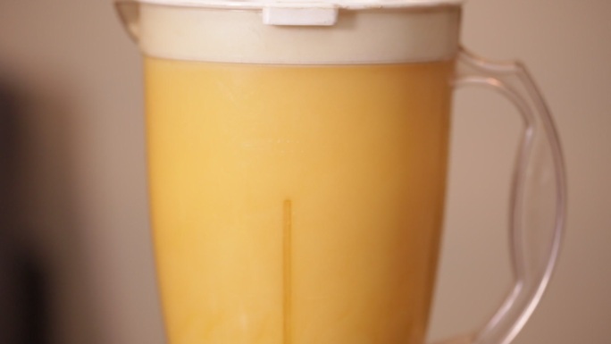 各种水果炸水果汁榨汁机  (2)